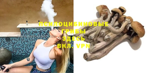 гидра Абдулино