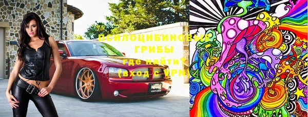 мдпв Абаза